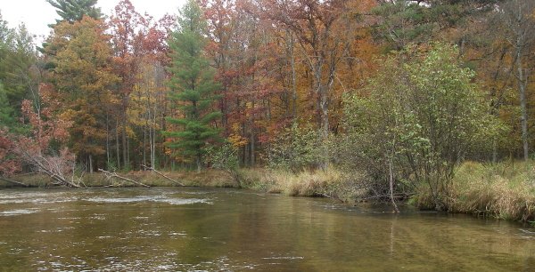 Pere Marquette River Hatch Chart