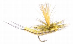 Loco Hexagena Dry Fly