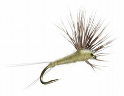 Comparadun Dry Fly