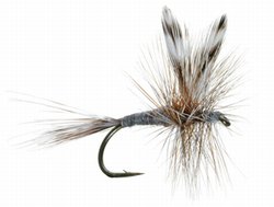 Adams Dry Fly