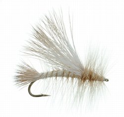 Improved Golden Stone Dry Fly