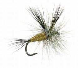Green Drake Dry Fly (Lawson's)