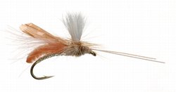 Headlight Caddis Parachute Dry Fly