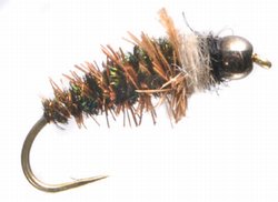 Cased Caddis Tungsten Nymph