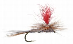 Hi Viz Parachute Dun Dry Fly