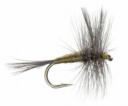 Blue Wing Olive Dry Fly