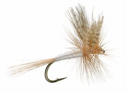 Light Cahill Dun Dry Fly