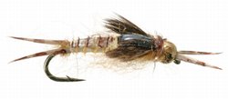 Biot Epoxy Stone Fly
