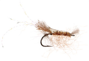 Salt Shrimp Fly