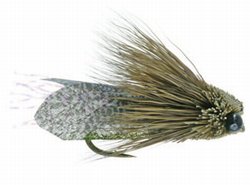 Clarks Cicada Dry Fly