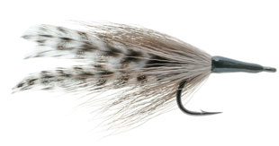 Cockroach Tarpon Fly