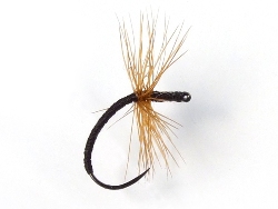 Ishigaki Kebari - Reverse Hackle/Ginger, C15-BV Hook