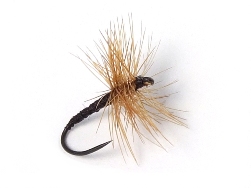 Ishigaki Kebari - Reverse Hackle/Ginger, R10-BN Hook