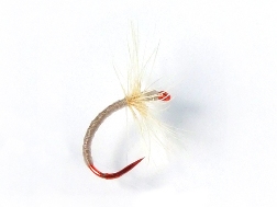 Ishigaki Kebari - Reverse Hackle/Barred Ginger, C12-B Hook