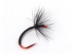 Ishigaki Kebari - Reverse Hackle/Black, C12-B Red Hook