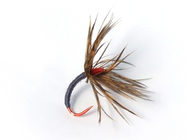 Sakasa Kebari - Reverse Hackle/Gray with Red Hook