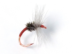 Takayama Sakasa Kebari - Reverse Hackle/Red with Red Hook