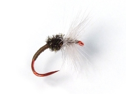 Takayama Sakasa Kebari - Reverse Hackle/Tan with Red Hook