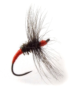 Akiyamago Hayashi Kebari - Reverse Hackle/Red Silk, C13-U Hook