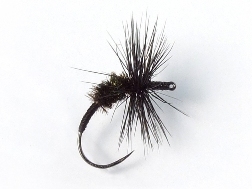 Akiyamago Hayashi Kebari - Reverse Hackle/Black Silk, C15-BV Hook