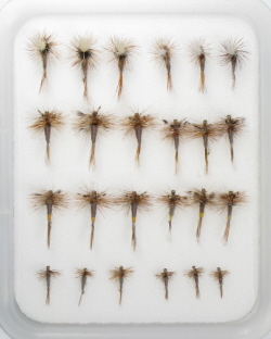 Fly Family Selection - Adams Dry Flies