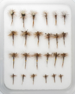 Fly Family Selection - Adams Dry Flies