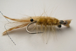 Branham's Shrimp Bonefish Fly