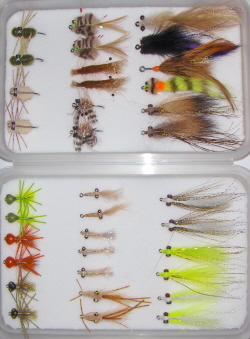 Belize/Yucatan Guide Fly Selection-35 Flies