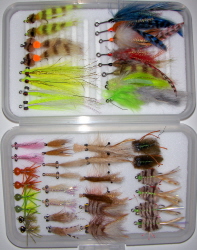 Belize/Yucatan Master Fly Selection-58 Flies in Multiple Fly Boxes