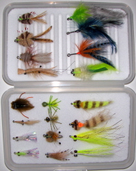 Belize/Yucatan Standard Fly Selection-15 Flies