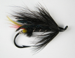 Black Dose Hairwing Salmon Fly