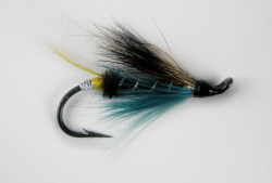 Blue Charm Hairwing Salmon Fly