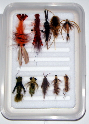 Carp Standard Fly Selection-10 Flies