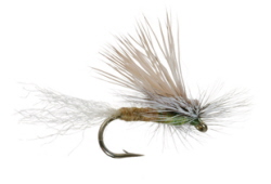 E/C Caddis Fly - Cutters