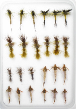 Insect Life Cycle Fly Selection -  Green Drake