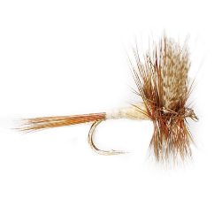 Gray Fox Dry Fly