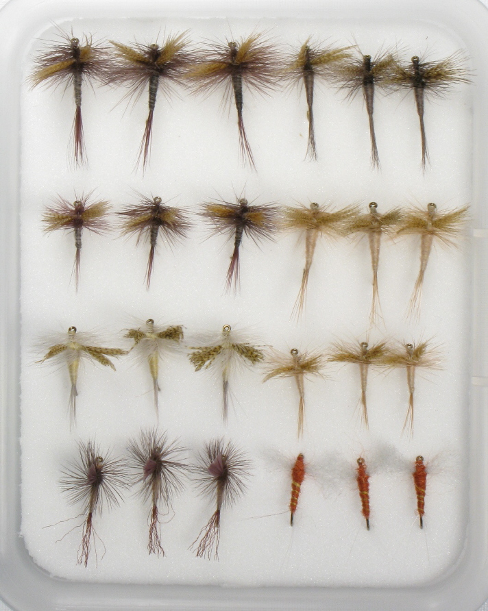 Insect Life Cycle Fly Selection - Hendrickson