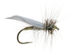 Hemingway Caddis