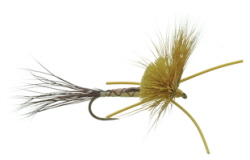 Nealley's Hex Adult Dry Fly