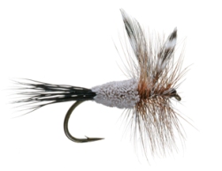 Rat Face McDougal Dry Fly