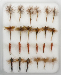 Insect Life Cycle Fly Selection - March Brown