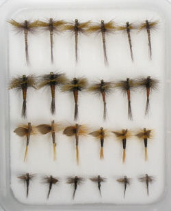 Fly Family Selection - Quill Body Dry Flies