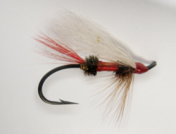 Royal Coachman Steelhead Fly