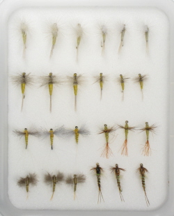 Insect Life Cycle Fly Selection - Sulfur