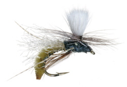 Spotlight Caddis Emerger