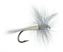 Sulfur Dun Dry Fly