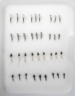 Insect Life Cycle Fly Selection - Trico