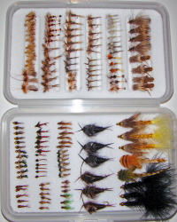 Trout Master Fly Selection-146 Flies