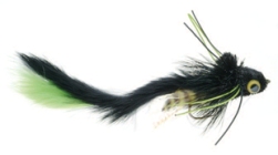 Umpqua Swimming Waterdog