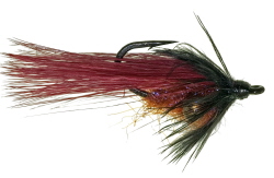 Backstabber Carp Fly